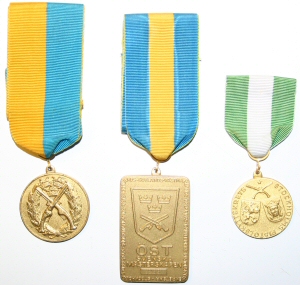 Mina första guldmedaljer, SM , ÖSM och Kretsmästerskap.